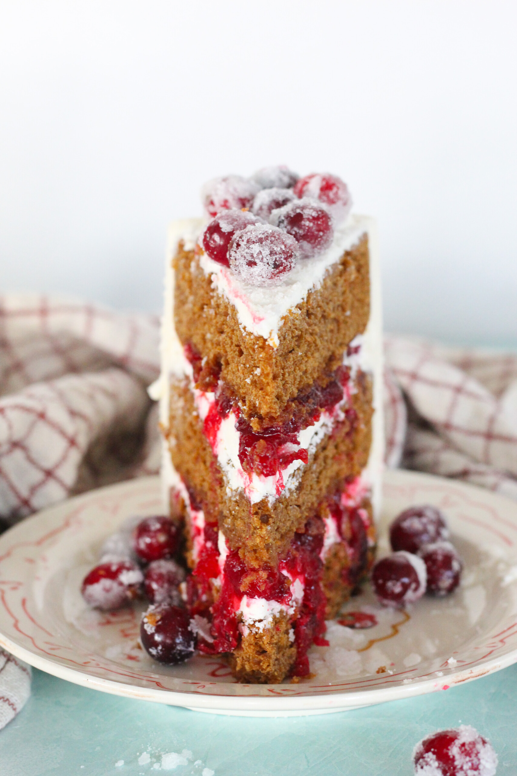 A slice of cake on a plate with candied cranberries.