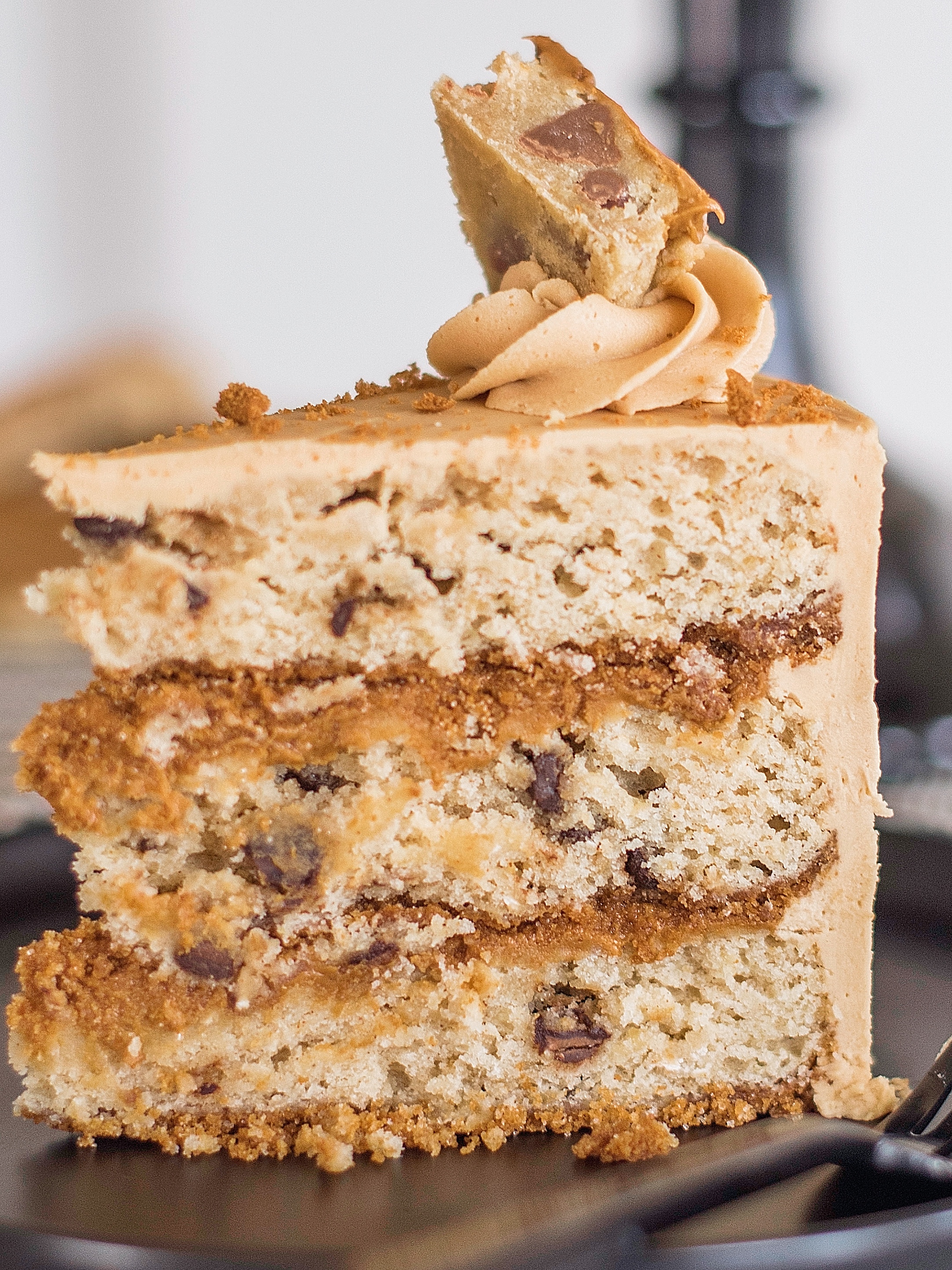 Slice of a cake standing up.